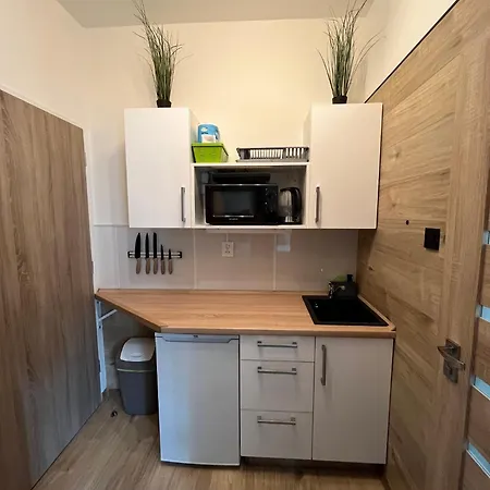 Rosa Apartment Decin