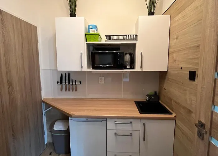 Rosa Apartman Děčín
